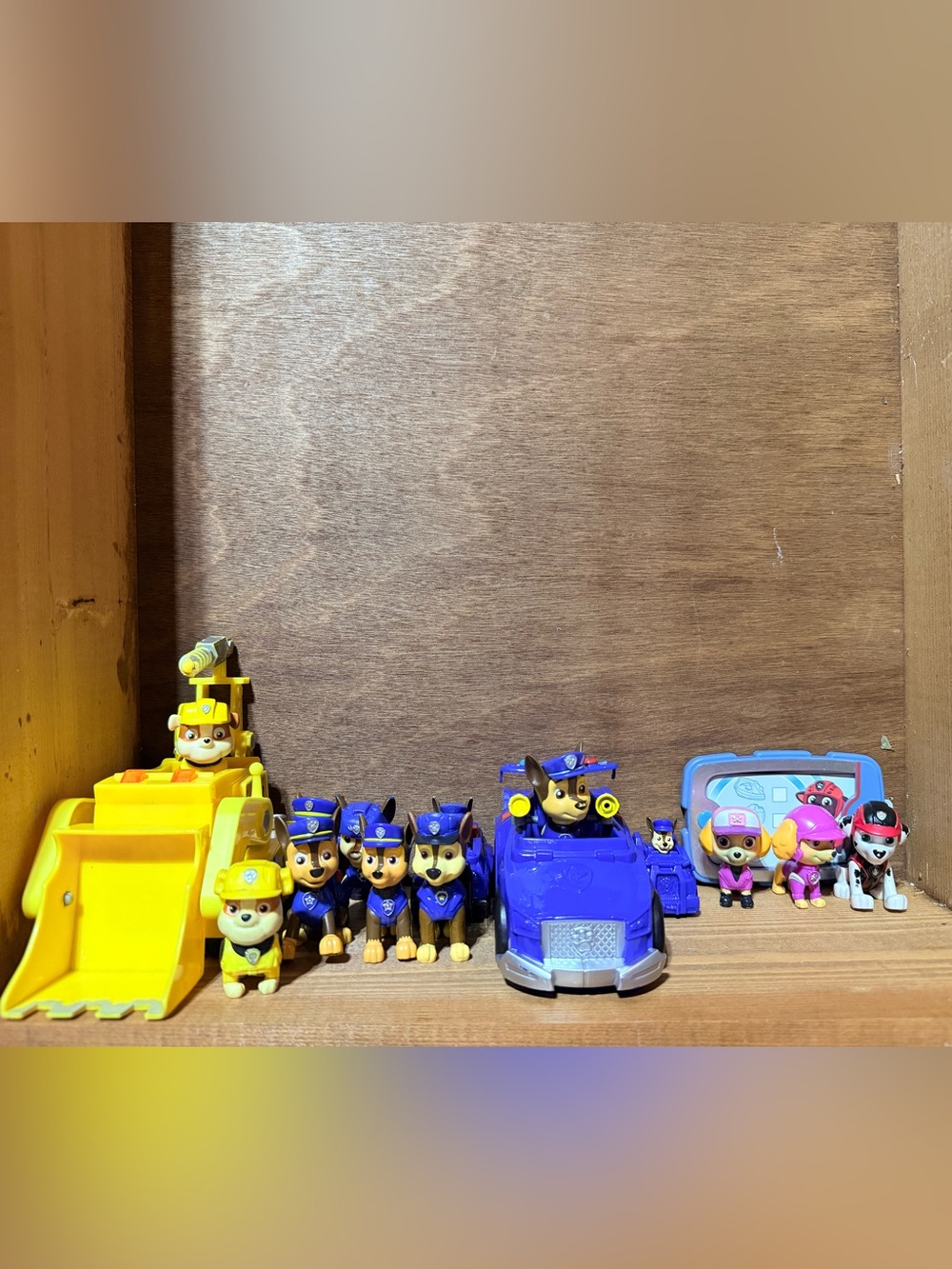 Paw Patrol - 14 piece assortment